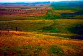 Roll hills of Saskatchewan prairie farmland.