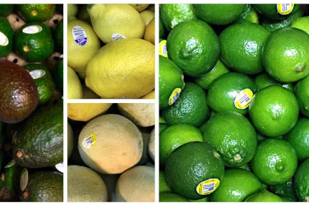 collage of fresh fruits, avocados, lemmons, cantaloupe, limes