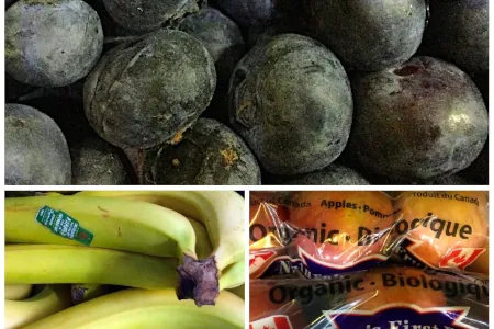 Collage of fresh fruits, Blueberries, Fair Trade Bananas, BC Gala Apples