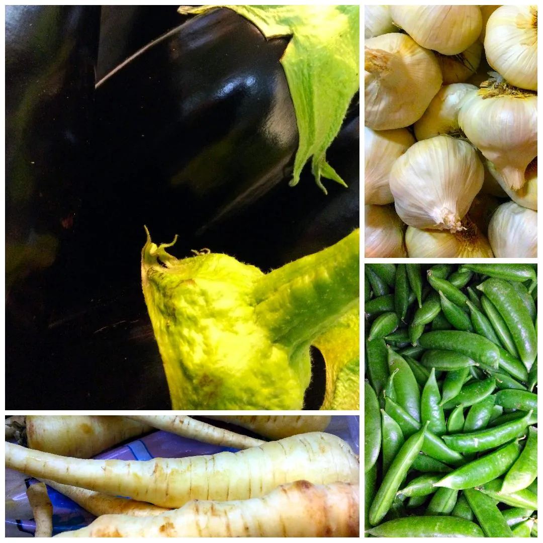 Collage of fresh vegetables, Eggplants, Garlic, Parsnips, Sugar Snap Peas