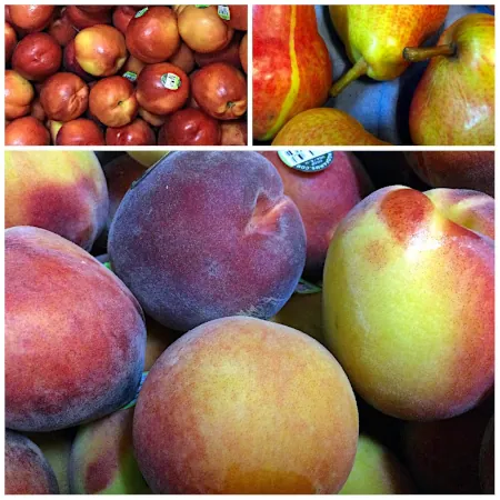 Collage of fresh fruits, Nectarines BC, Bartlett Pears BC, Peaches BC