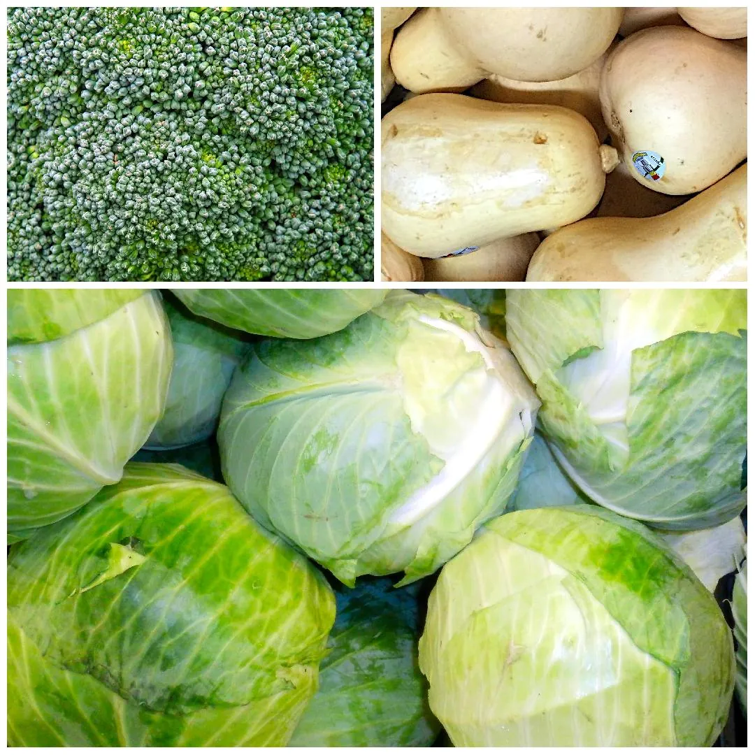 Collage of fresh vegetables, BC Broccoli, Butternut Squash and BC Green Cabbage