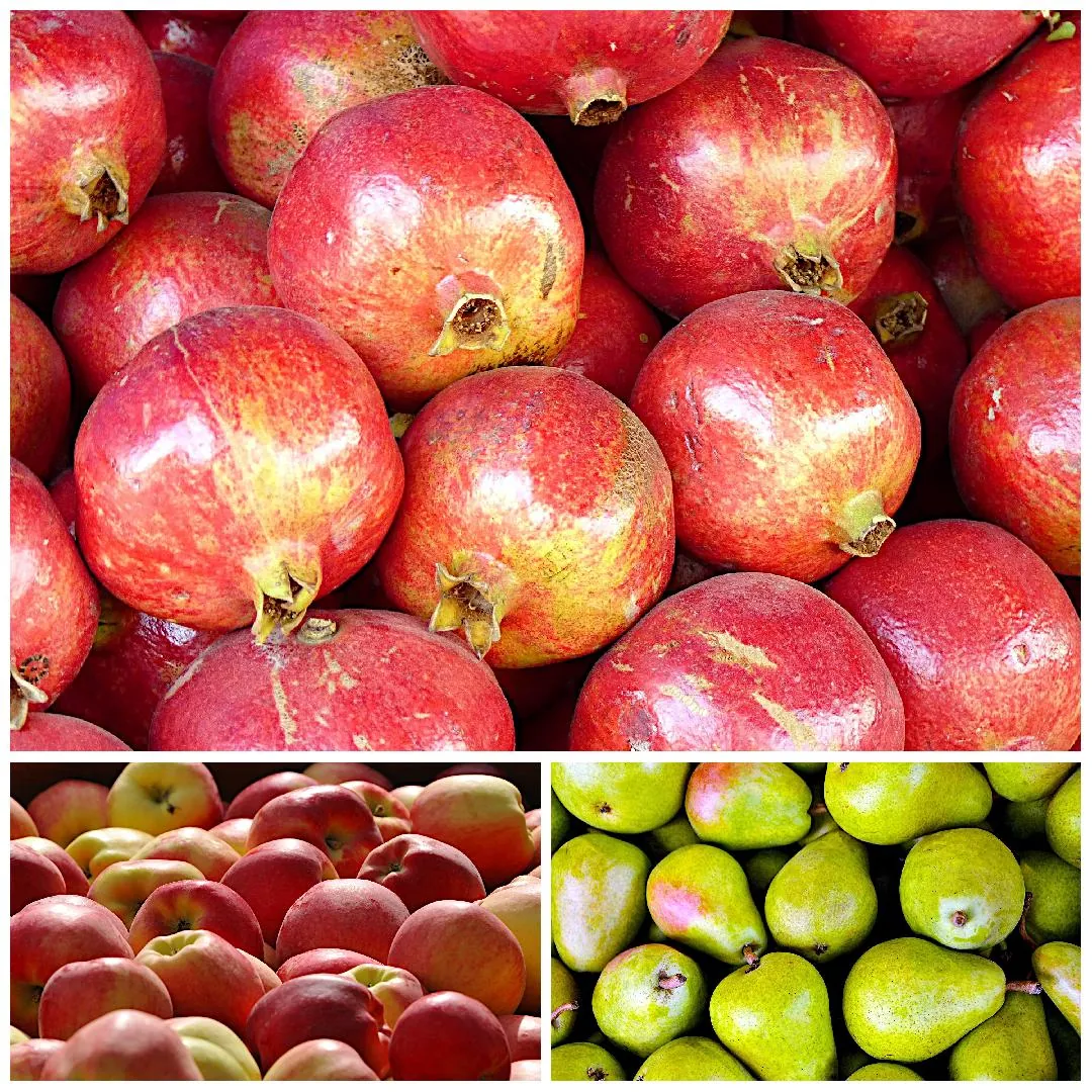 Collage of fresh fruits, Ambrosia Apples, Pears, Pomegranates