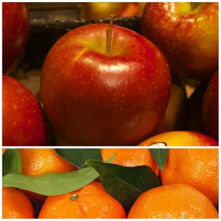 Collage of fresh Macintosh Apples, Mandarin Oranges