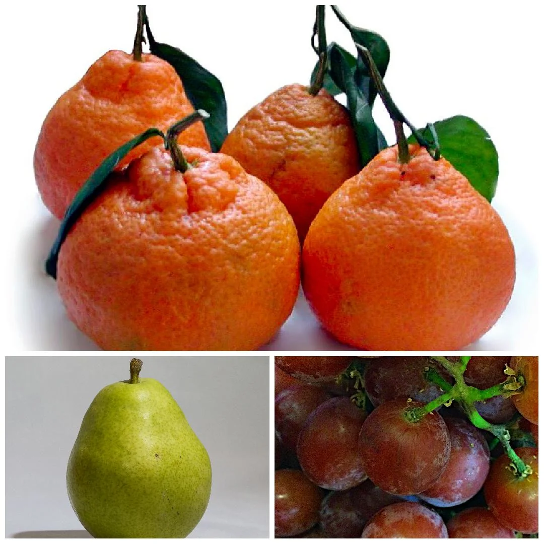Collage of fresh Satsuma Mandarins, D’Anjou Pear BC, Red Grapes