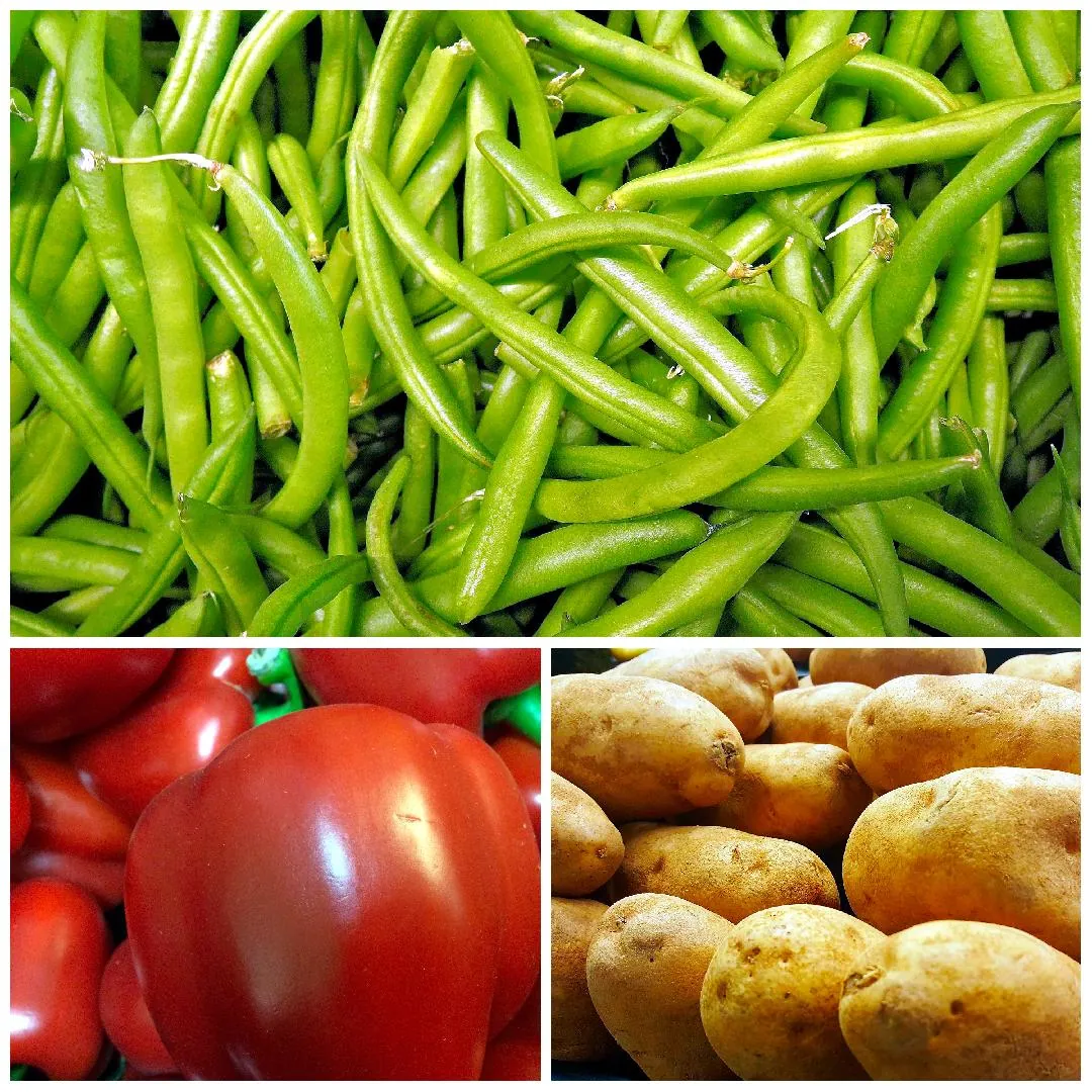 Collage of fresh vegetables, Green Beans, Red Bell Peppers, Russet Potatoes