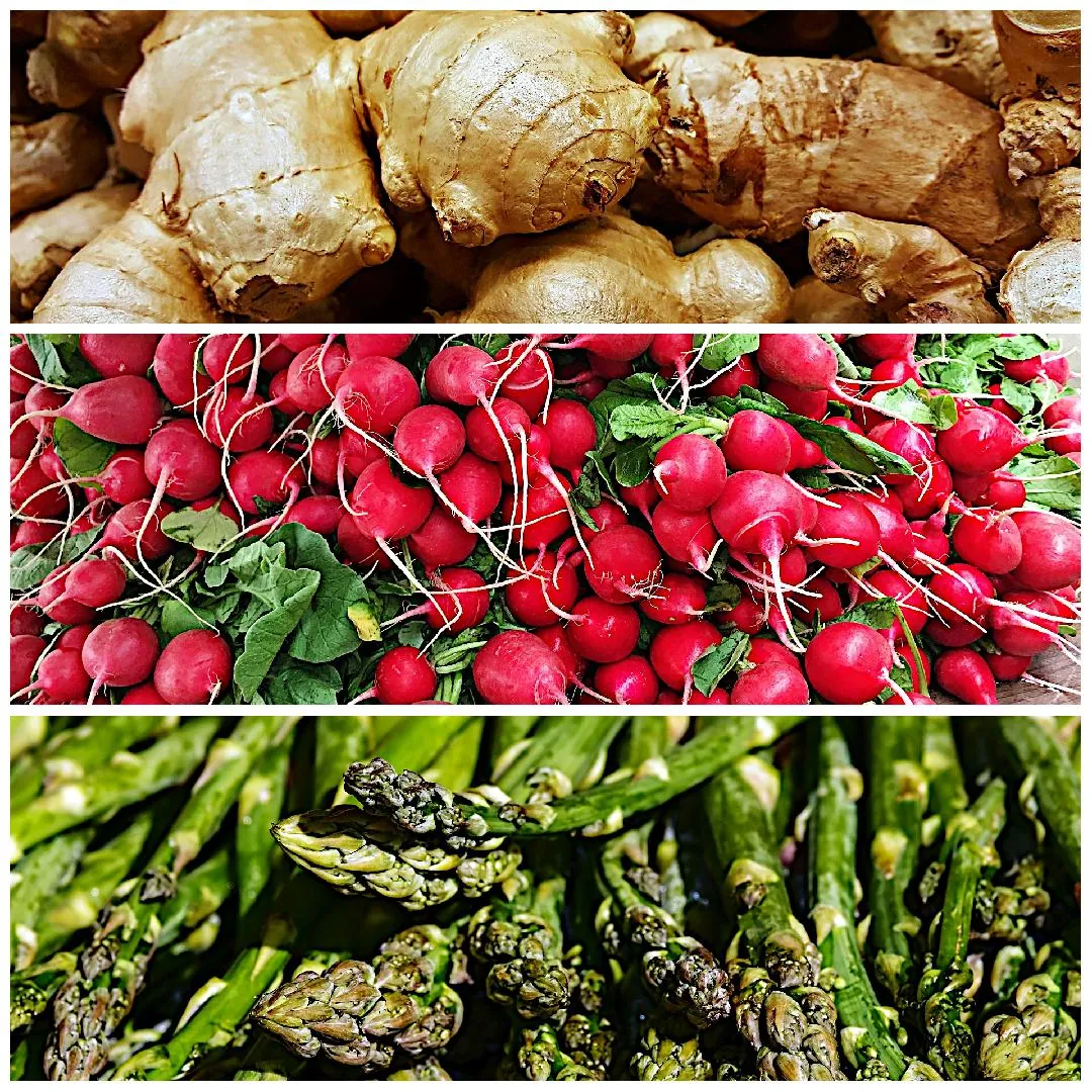 Collage of fresh vegetables, Ginger, Red Radishes, Asparagus