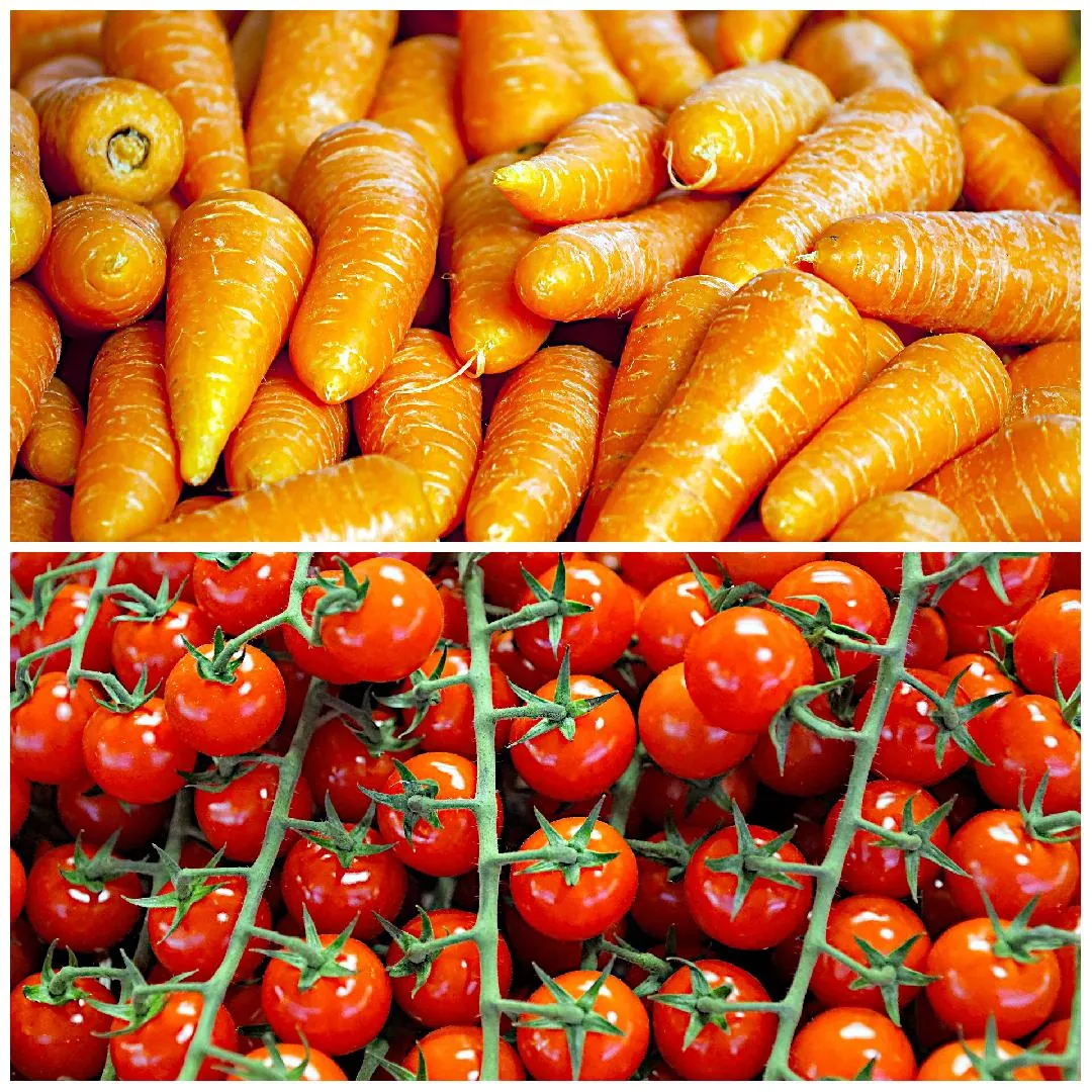 Collage of fresh vegetables, Carrots, and Tomatoes.