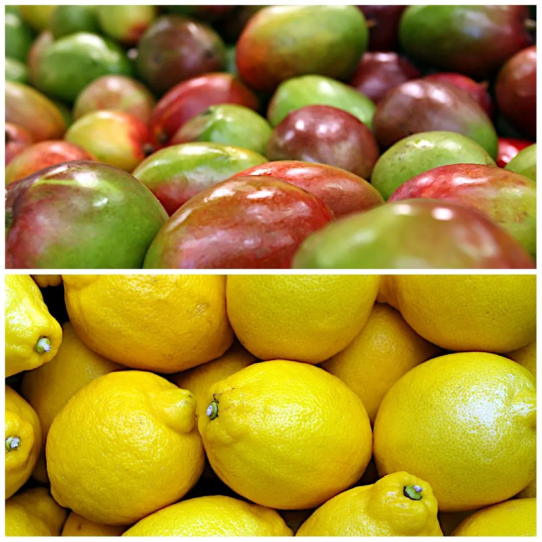 Collage of fresh fruits, Mangos and Lemons.