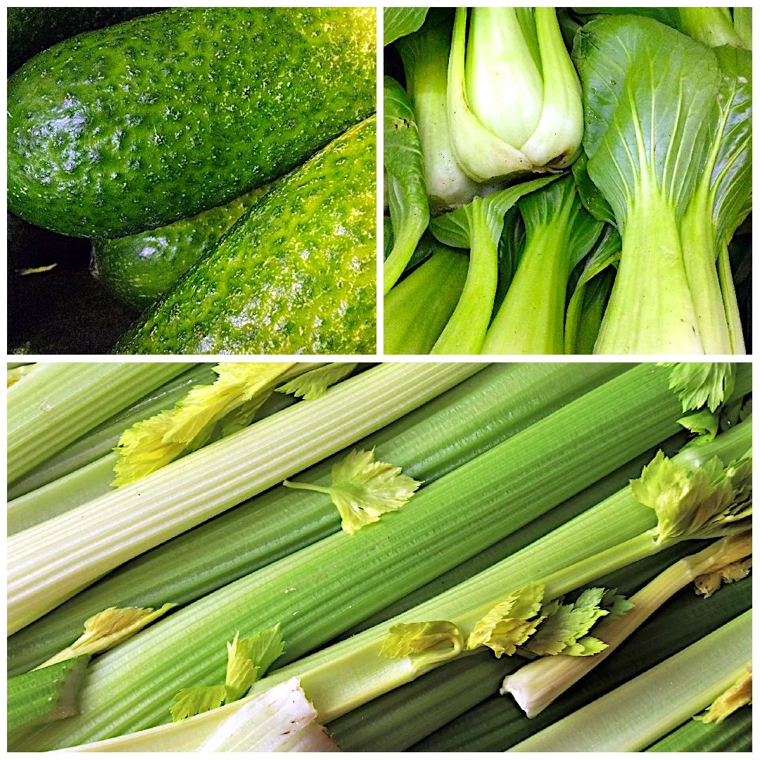Collage of fresh vegetables, Cucumbers, Baby Bok Choy, and Celery.