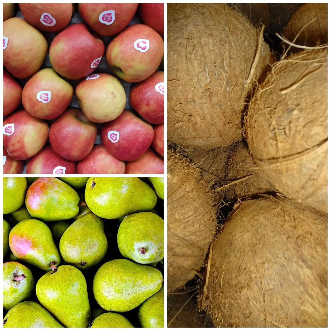 Collage of fresh fruits, Pink Lady BC Organic Apples, D'Anjou Pears and Coconuts.