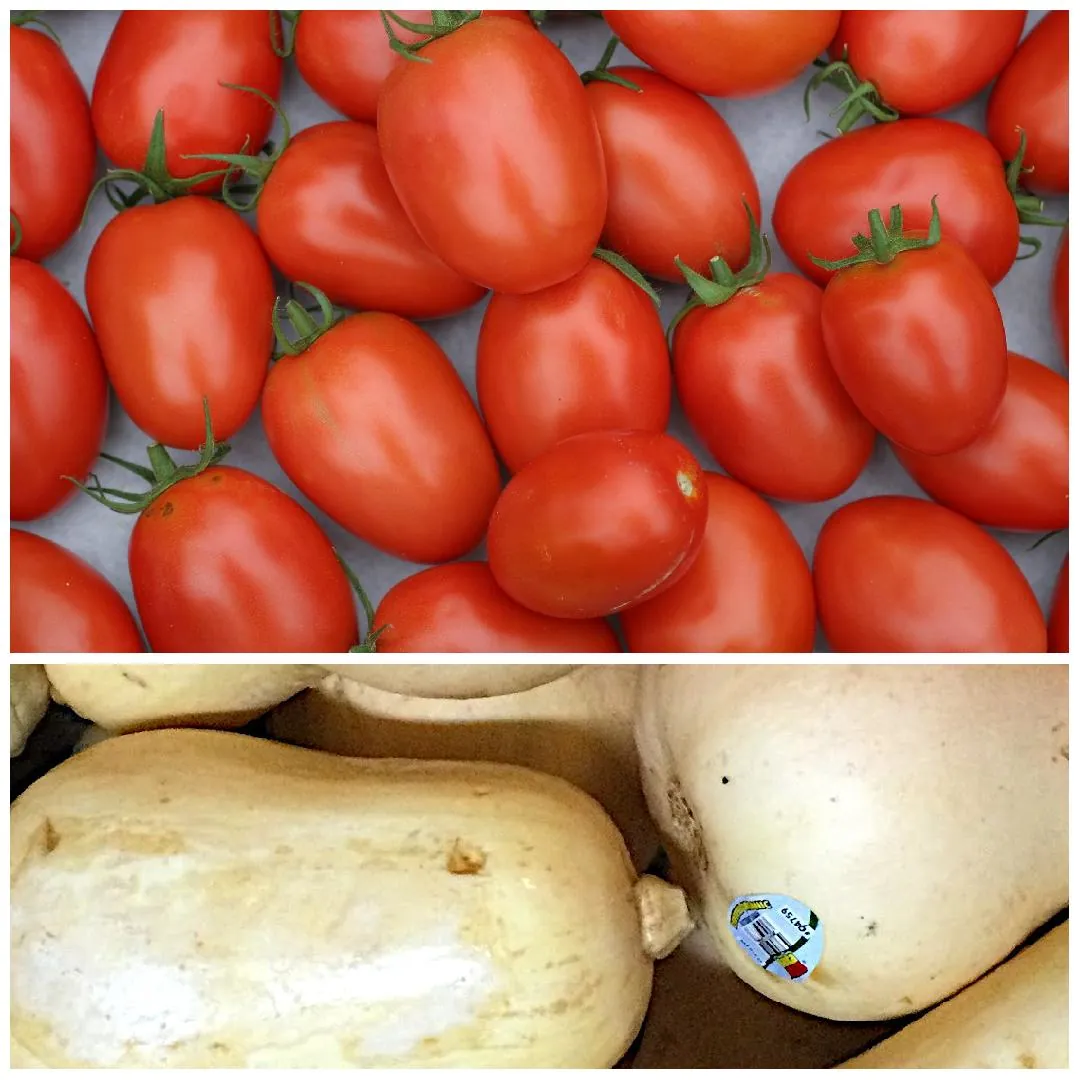 Collage of fresh vegetables, Roma Tomatoes, and Butternut Squash.