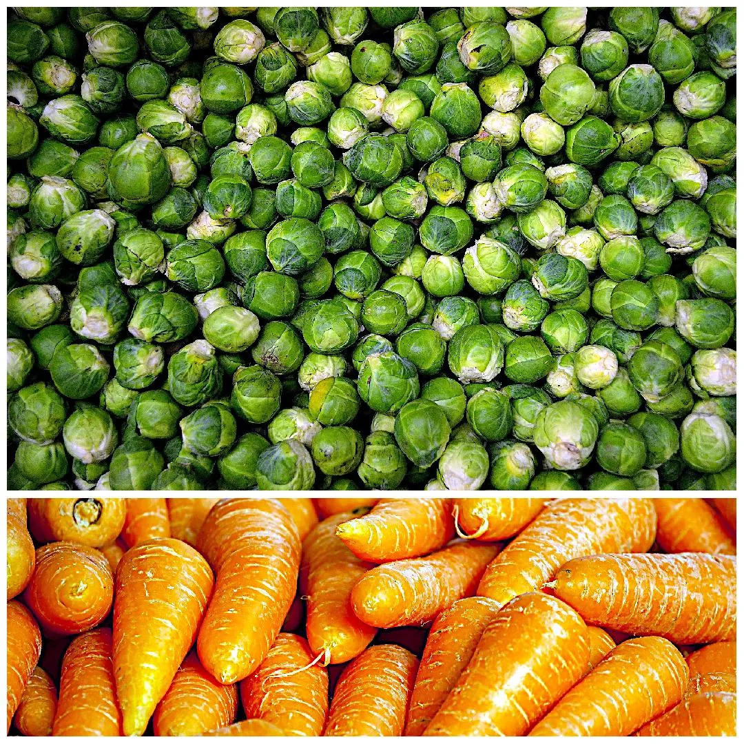 Collage of fresh vegetables, Brussels Sprouts, and Carrots.