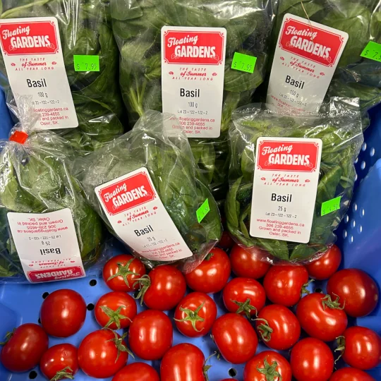 Produce bin with bags of Floating Gardens basil and a bunch of tomatoes.