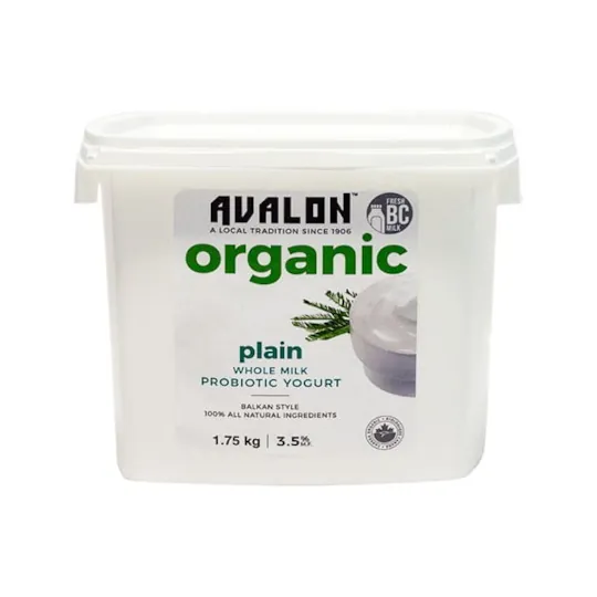 A white plastic container of Avalon plain whole milk probiotic yogurt