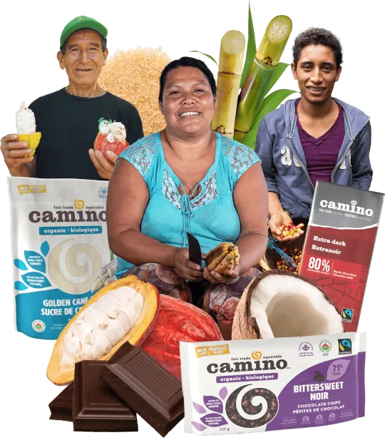 Three people showcasing Camino products.