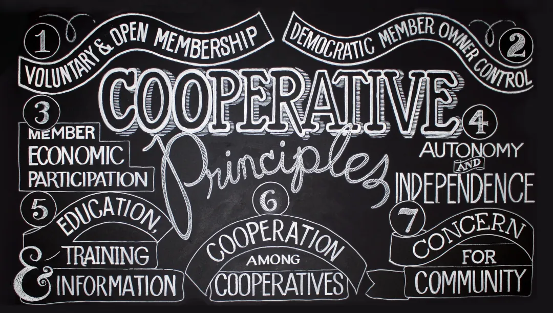 A close up view of the 7 cooperative principles written in white chalk on a black chalk board.