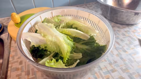On a counter top sits a salad spinner with the cover taken off and full of leaves of lettuce.