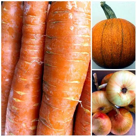 Collage of Derksen's carrots, sugar pie pumpkins, yellow onions