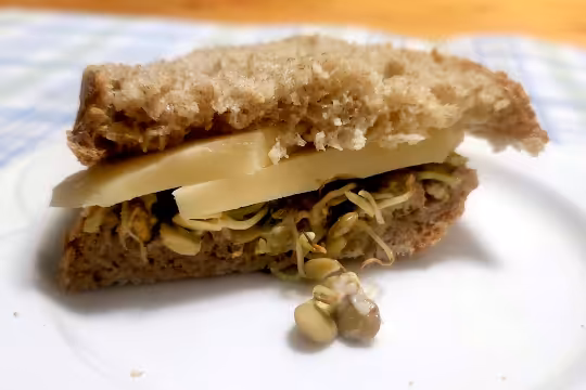 One half of a sliced sandwich with lentil sprout and cheese sitting on a white plate.