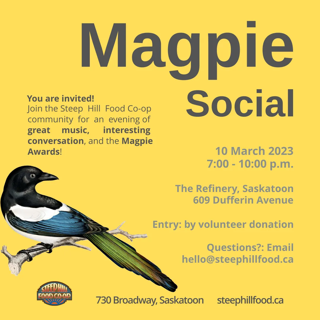 A colorful magpie bird perching on a branch against a dark yellow background and text describing the Magpie Social event.