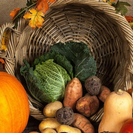 A collection of fall harvested produce such as pumpkin, butternut squash, potatoes, etc. all framed around a light brown basket on its side with leaves.