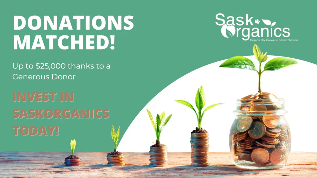 Investing in SaskOrganics is illustrated as a plant starting off as a bud and then increases in growth on top of four stacks of pennies and one glass jar full of pennies.