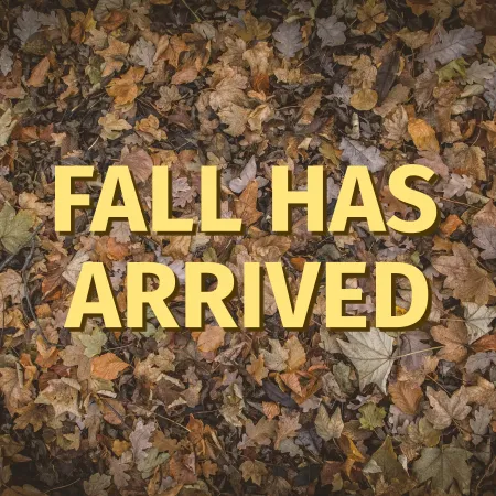 A bed of fall coloured leaves cover the background with a bold title in a light yellow and brown drop shadow reads, 'Fall Has Arrived'.