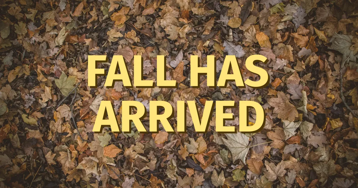 A bed of fall coloured leaves cover the background with a bold title in a light yellow and brown drop shadow reads, 'Fall Has Arrived'.