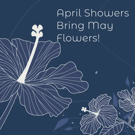 A navy blue background with a white outline of a flower up close and some far away with text that reads, April Showers Bring May Flowers!