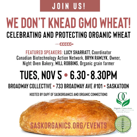 A promotional poster for We Don't Knead GMO Wheat! The event is held on Tuesday, November 5, 2024 at 6:30 pm to 8:30 pm.