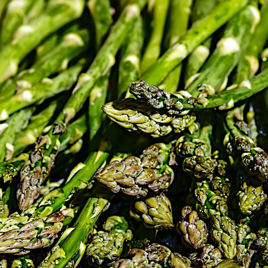 A fresh bunch of asparagus.