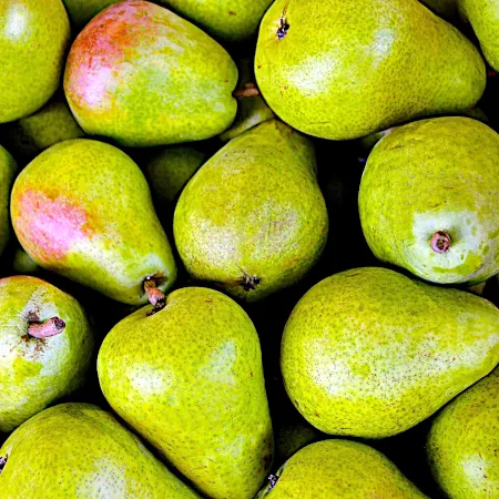 A bunch of fresh Bartlett pears.