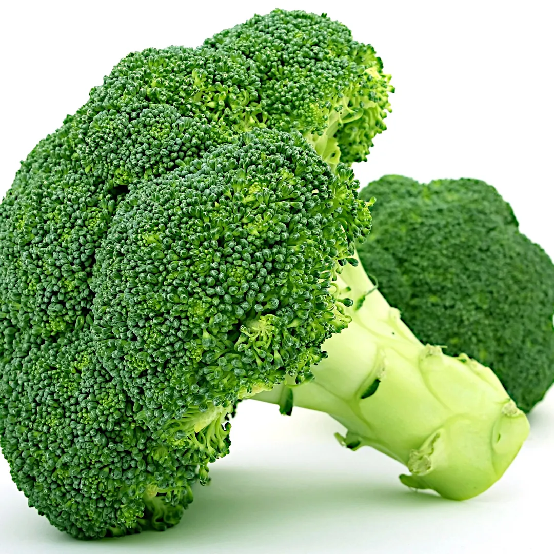 Two fresh broccoli heads.