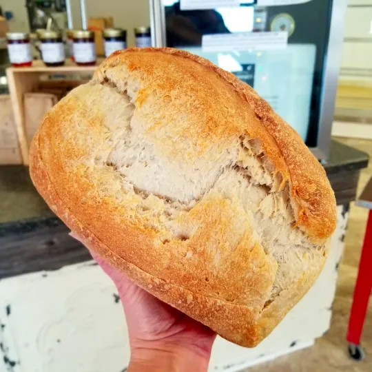 A fresh loaf of original sourdough bread from Lockwood Sourdough that is being held up in the air by a hand.
