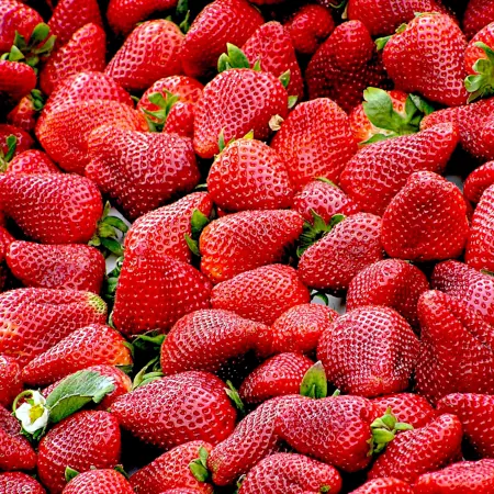 Fresh assortment of strawberries.