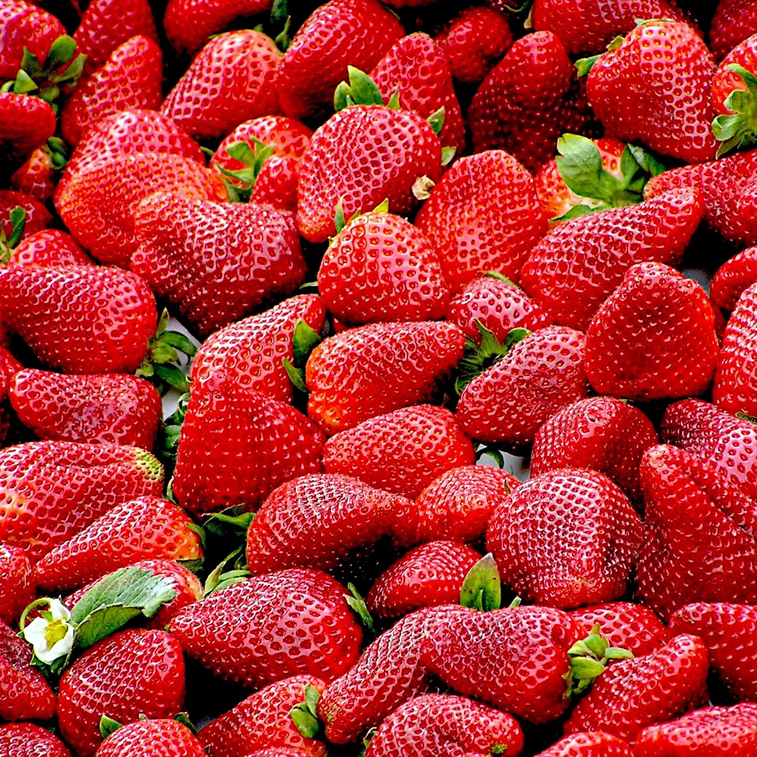 Fresh assortment of strawberries.