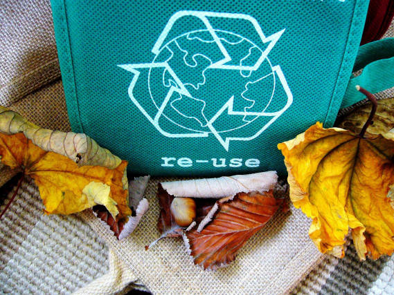 recycling, bag, leaves